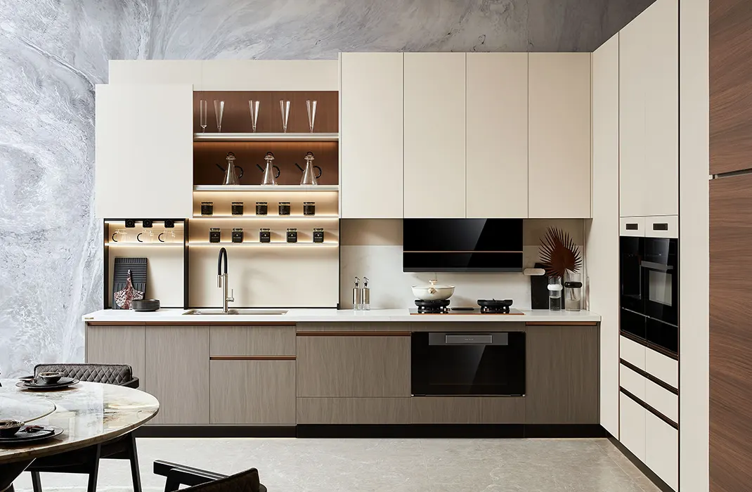 Modern kitchen cabinets